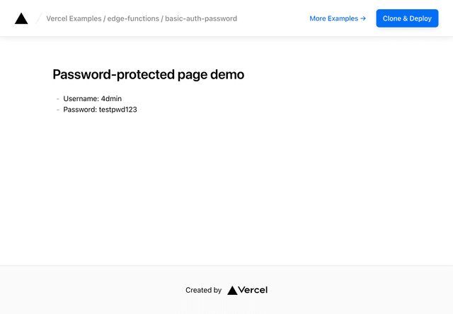 Basic Auth Password Protection